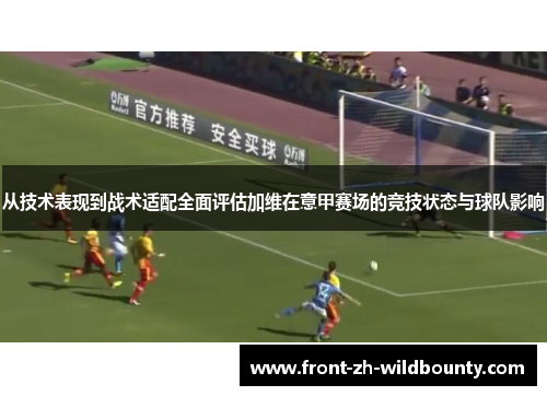 从技术表现到战术适配全面评估加维在意甲赛场的竞技状态与球队影响