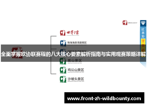 全面掌握欧协联赛程的八大核心要素解析指南与实用观赛策略详解