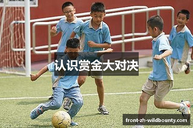 认识赏金大对决